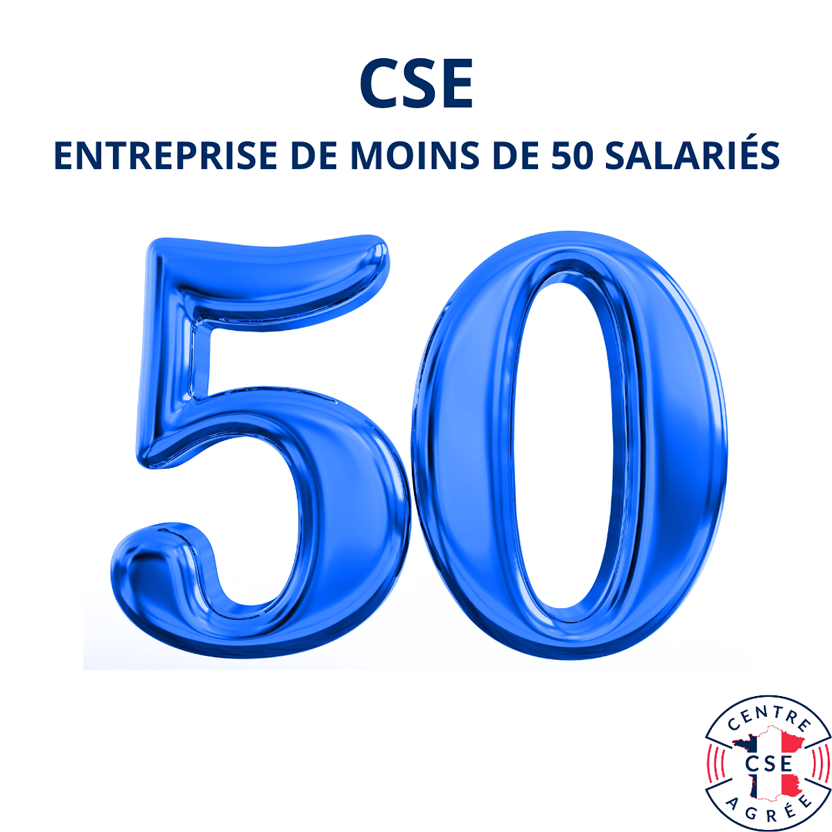 CSE ENTREPRISE DE MOINS DE 50 SALARIÉS